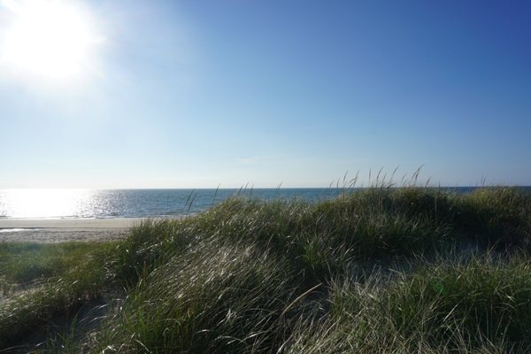 Great Island Trail by null