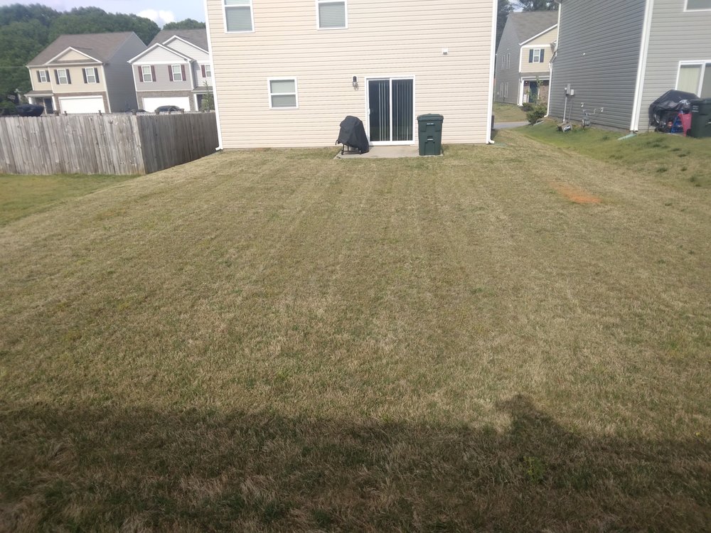 WILLIAMS HAULING CLEANING AND LAWN SERVICES Almaden, Boiling Springs