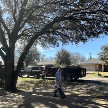 Jaimes Tree Service - Tree Services Near Me Jaimes Tree Service - Tree Services Near Me