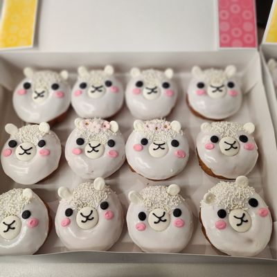 Sugarbox Donuts by null