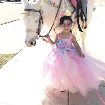 Ponies For Parties - Party Supplies Near Me