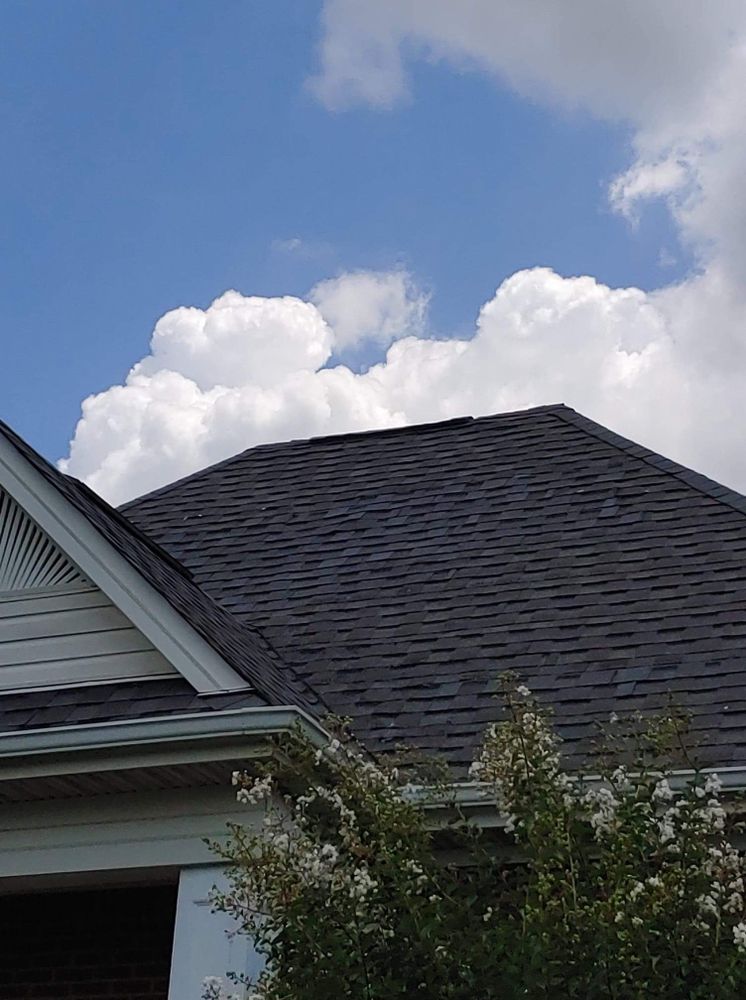 Slide of MDS Roof Doctors