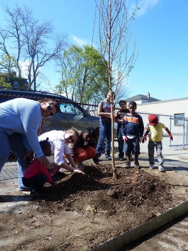 Providence Neighborhood Planting Program - social services organization in Providence, RI