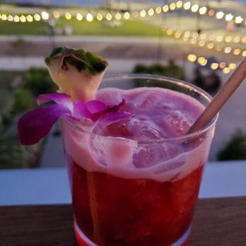 M.Bird Rooftop Restaurant & Lounge - High Sea $12 - Cocktail Bars Near Me - Tampa, Florida M.Bird Rooftop Restaurant & Lounge - High Sea $12 - Cocktail Bars Near Me - Tampa, Florida