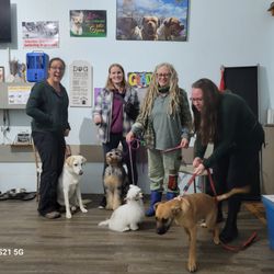 The Dog Nanny's Canine Training Academy