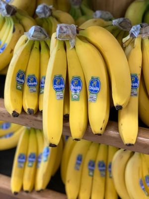 Trader Joe's by null