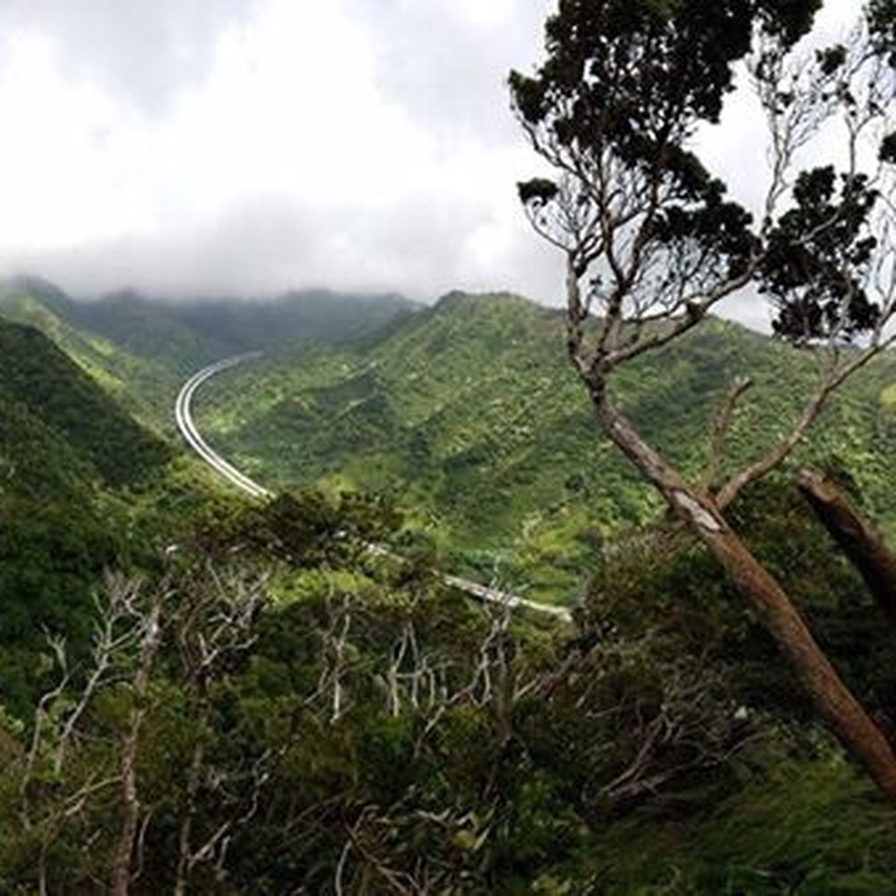 Waimano Loop Trail - I H3 was so far down you could hardly see the cars and could not hear it at all! - Hiking Near Me - Pearl City, Hawaii Waimano Loop Trail - I H3 was so far down you could hardly see the cars and could not hear it at all! - Hiking Near Me - Pearl City, Hawaii