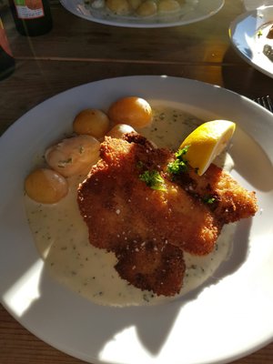 Café Nemoland by null