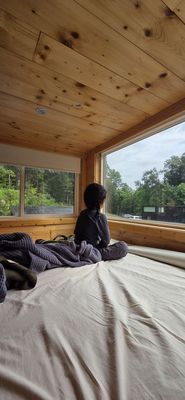 Treetopia Airstream Hotel and RV Campground by null