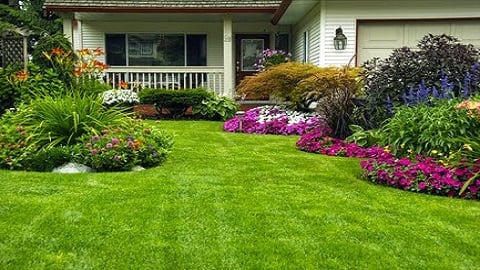Transform Your Lawn: Expert Resodding Services That Bring Your Yard to Life - From revitalizing tired, patchy lawns to completely redoing outdoor spaces, our team takes pride in delivering lush, healthy grass that thrives in any environment. Each project is a testament to our commitment to quality and customer satisfaction. Browse through our photos to see how we turn dull, lifeless yards into vibrant, green landscapes that enhance curb appeal and create beautiful outdoor spaces for you to enjoy. Whether it’s a simple refresh or a full lawn makeover, we’re here to bring your vision to life.
