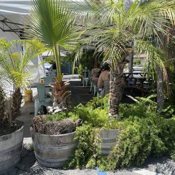 Basecamp Dinette - Coffee & Tea Near Me - Burbank, California Basecamp Dinette - Coffee & Tea Near Me - Burbank, California
