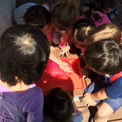 Alameda Bayfarm Academy - Exploring a giant ice cube
