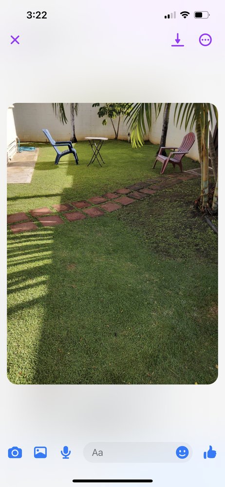 Eternal Landscaping And Yard Maintenance - tree service in Honolulu, HI