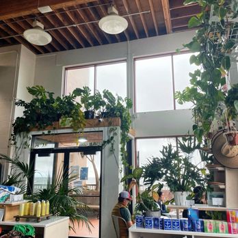 Andytown Coffee Roasters - Inside - Coffee & Tea Near Me - San Francisco, California Andytown Coffee Roasters - Inside - Coffee & Tea Near Me - San Francisco, California