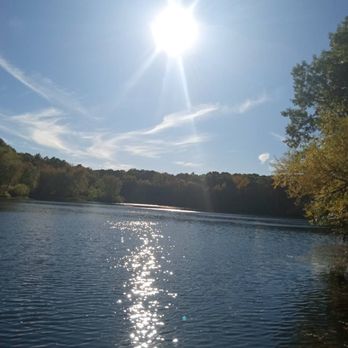 Gammino Pond Preservation Area - Parks Near Me - Seekonk, Massachusetts