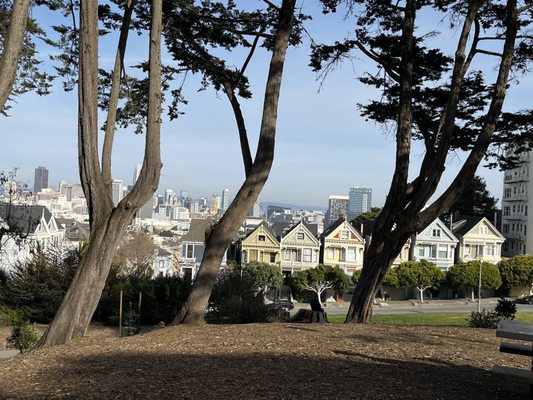 Alamo Square Park by null