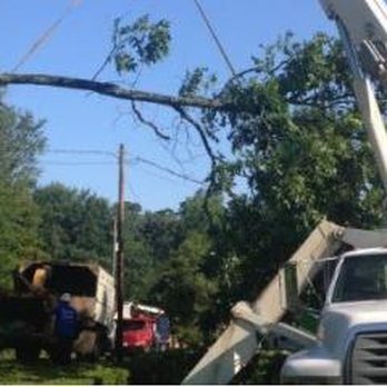 McAllister Tree Service - McAllister Tree Service - Tree Services Near Me - Cornelia, Georgia