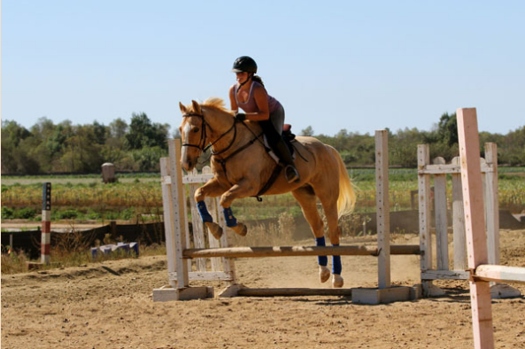 2nd Star To The Right - equestrian in San Diego, CA