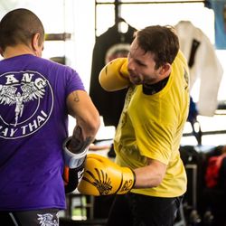 Meta Mixed Martial Arts