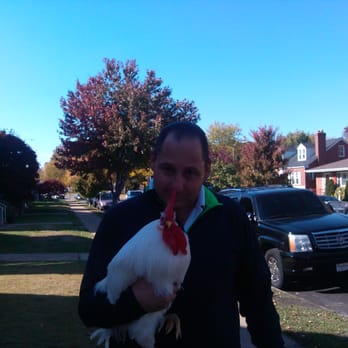 Watson Road Veterinary Clinic - Veterinarians Near Me - Saint Louis, Missouri