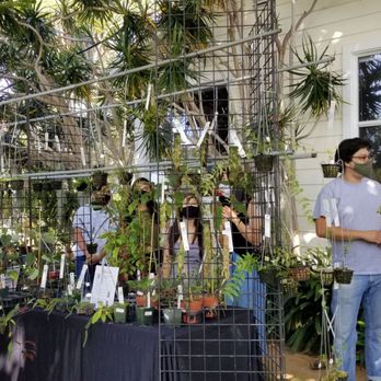 Andy's Orchids - Fall open house 2020 - Nurseries & Gardening Near Me - Encinitas, California