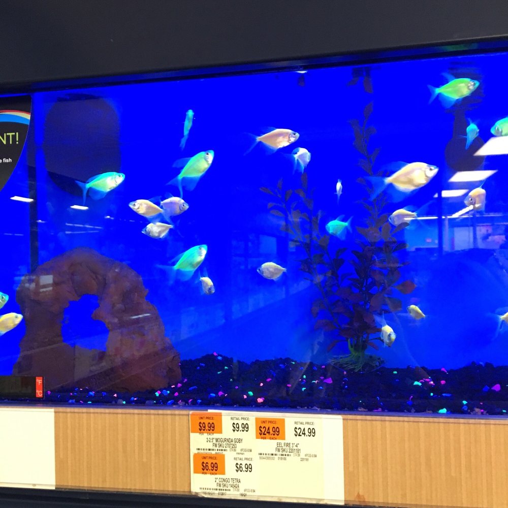 Petco - Pet Stores Near Me - Raritan, New Jersey
