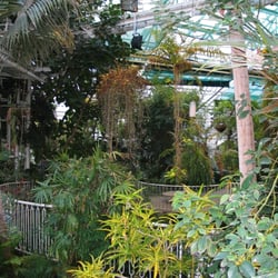 Plantasia