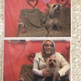 Pin Up Pets - Pet Groomers Near Me - Chandler, Arizona Pin Up Pets - Pet Groomers Near Me - Chandler, Arizona
