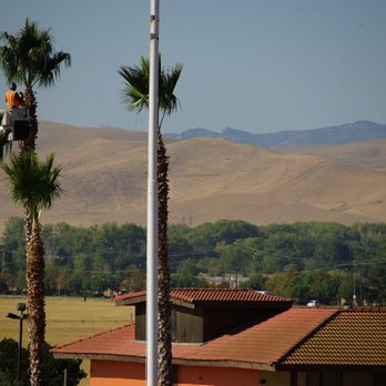 Ronnys - Tree Service - Landscaping Near Me - Los Banos, California Ronnys - Tree Service - Landscaping Near Me - Los Banos, California