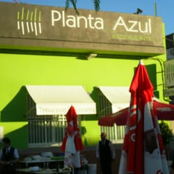 Planta Azul