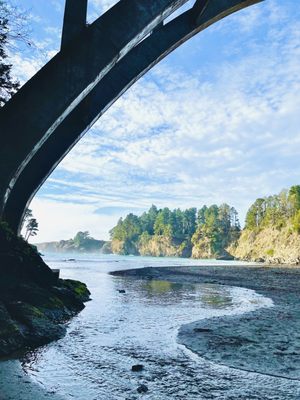 Mendocino by null