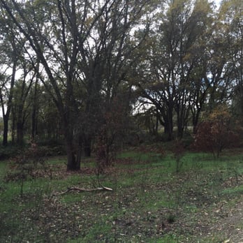 Renfree Park - Parks Near Me - Sacramento, California Renfree Park - Parks Near Me - Sacramento, California