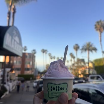 Bobboi Natural Gelato - Berry white - Gelato Near Me - La Jolla, California Bobboi Natural Gelato - Berry white - Gelato Near Me - La Jolla, California