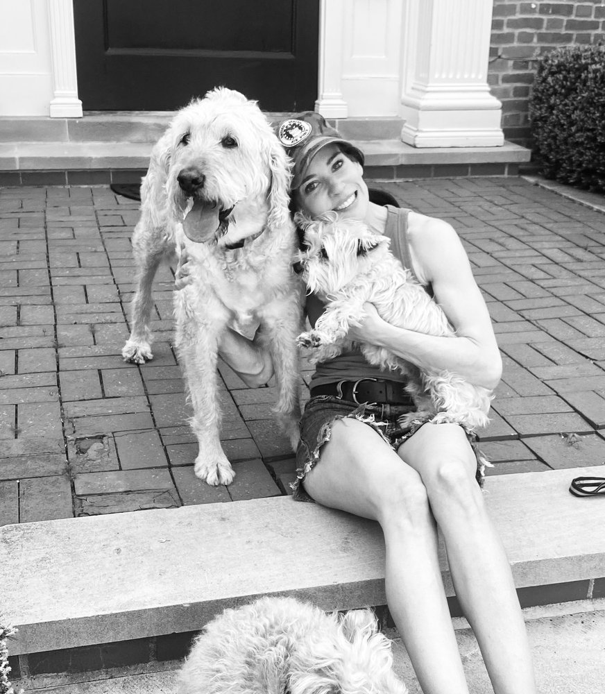 Rock Star Pet Care Image