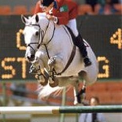 Cameron Equestrian - Cameron Trainer Greg Best medals in the Olympics!