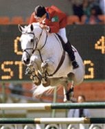 Cameron Equestrian - equestrian in Manor, TX