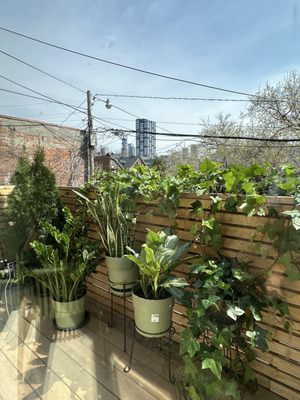 Project Seoul by null