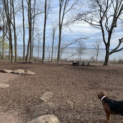 Wolfe's Pond Park and Beach - Dog park
