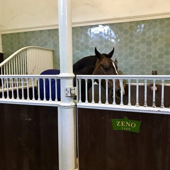 The Royal Mews - Zeno - one of the Royal horses! - Museums Near Me - London, XGL
