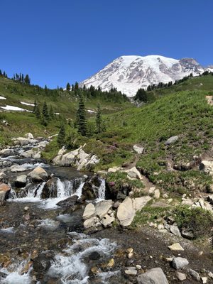 Myrtle Falls by null