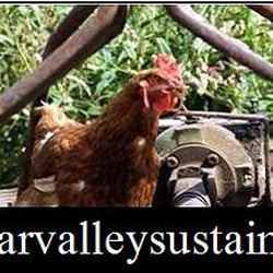Cedar Valley Sustainable Farm