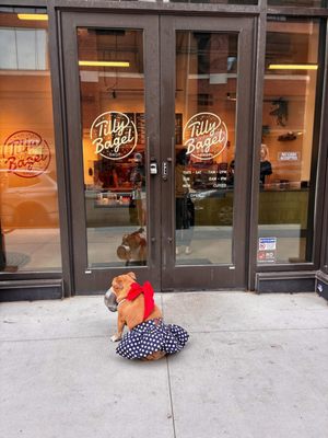 Tilly Bagel Shop by null