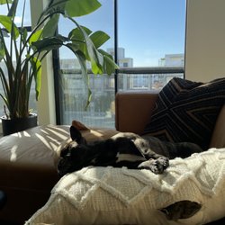 Plants For Friends