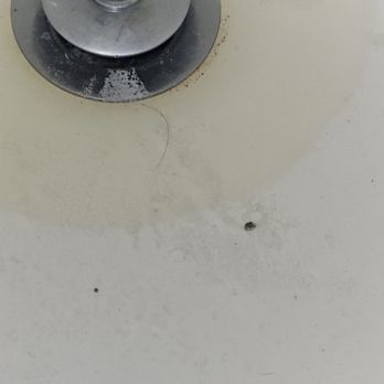 Best Western State Fair Inn - Debris backed up in tub - Hotels Near Me - Sedalia, Missouri