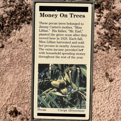 Carter Hist Site Berry House - Trail SIgn