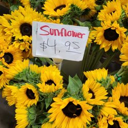 Wholesale Flowers and Supplies