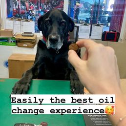 Store Mascot Store Mascot