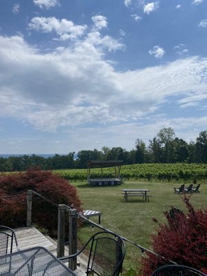 Buttonwood Grove Winery by null