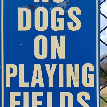 Buckingham Park - Apparently, this sign did not apply to the entitled jerks we saw that had 4 dogs running loose on a field. - Playgrounds Near Me - Avon, Connecticut
