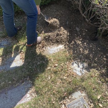 Pioneer Cemetery District - Me removing soil from covered cremain plots. Pioneer Cemetery District - Me removing soil from covered cremain plots.